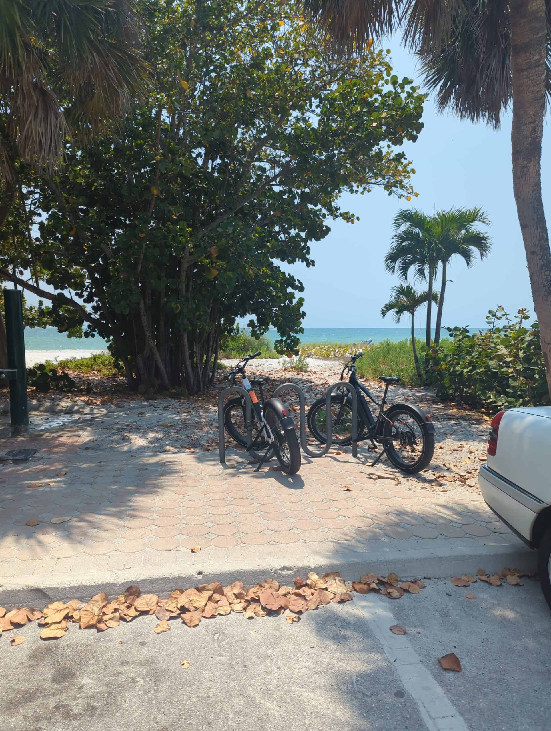 Bicycles parked near the beach under tropical trees on a sunny day.