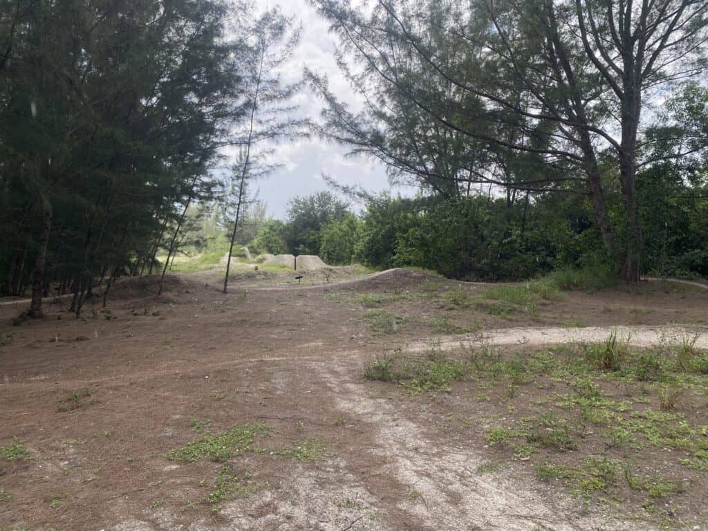 Overgrown dirt trail in a wooded outdoor setting with trees and green foliage.