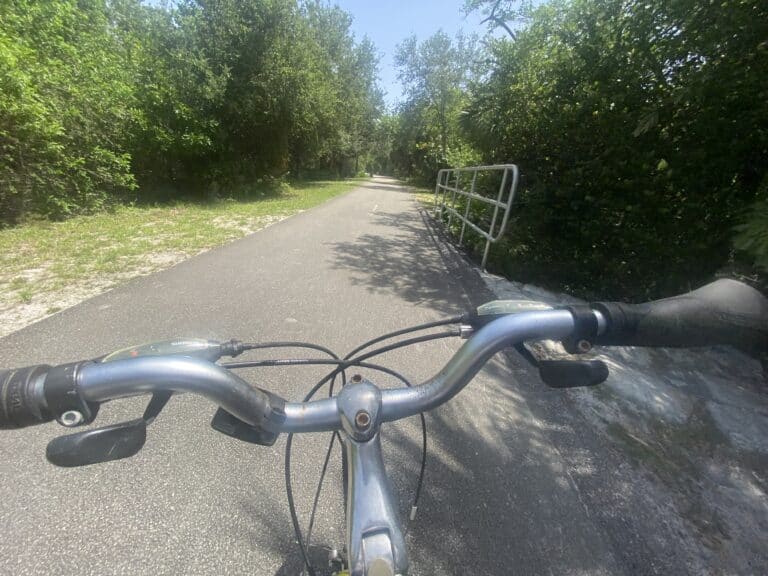 Cycling Posture Basics: How to Ride Stronger and Safer